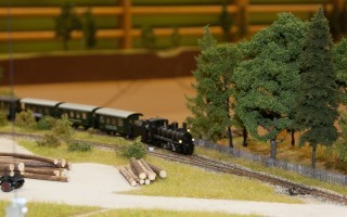 IMG_1135.jpg