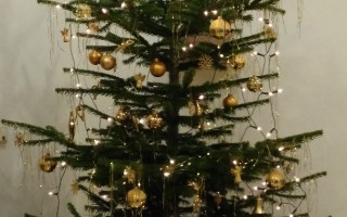 Christbaum.jpg