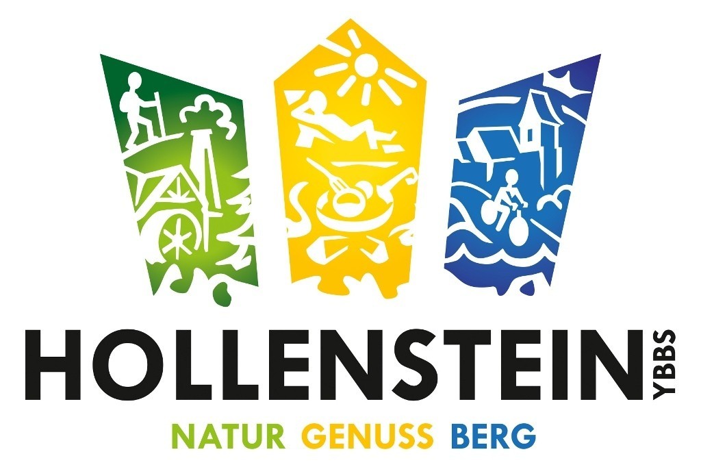 logo_hollensteinyngbgr_rgb_0.jpg