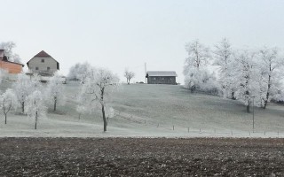 k-IMG_20161231_111615.jpg
