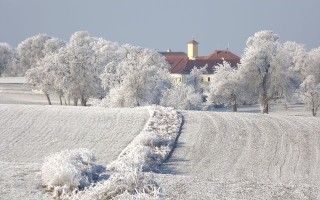 k-DSCF1195.JPG