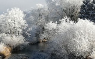 k-IMG_20161231_114758.jpg