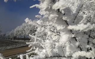 k-IMG_20161231_121421.jpg