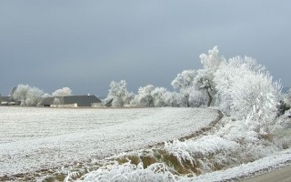 k-DSCF9850.JPG