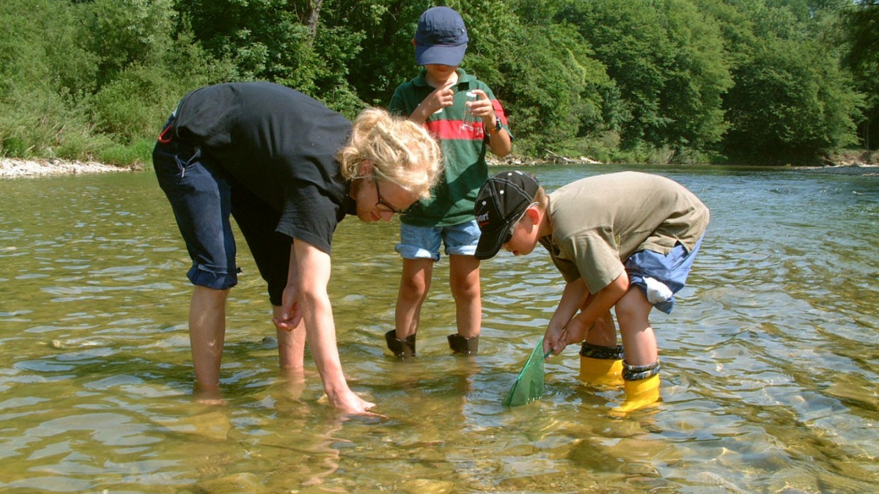 Mitten im Fluss.jpg