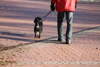 567505_web_R_by_Jörg Sabel_pixelio.de.jpg