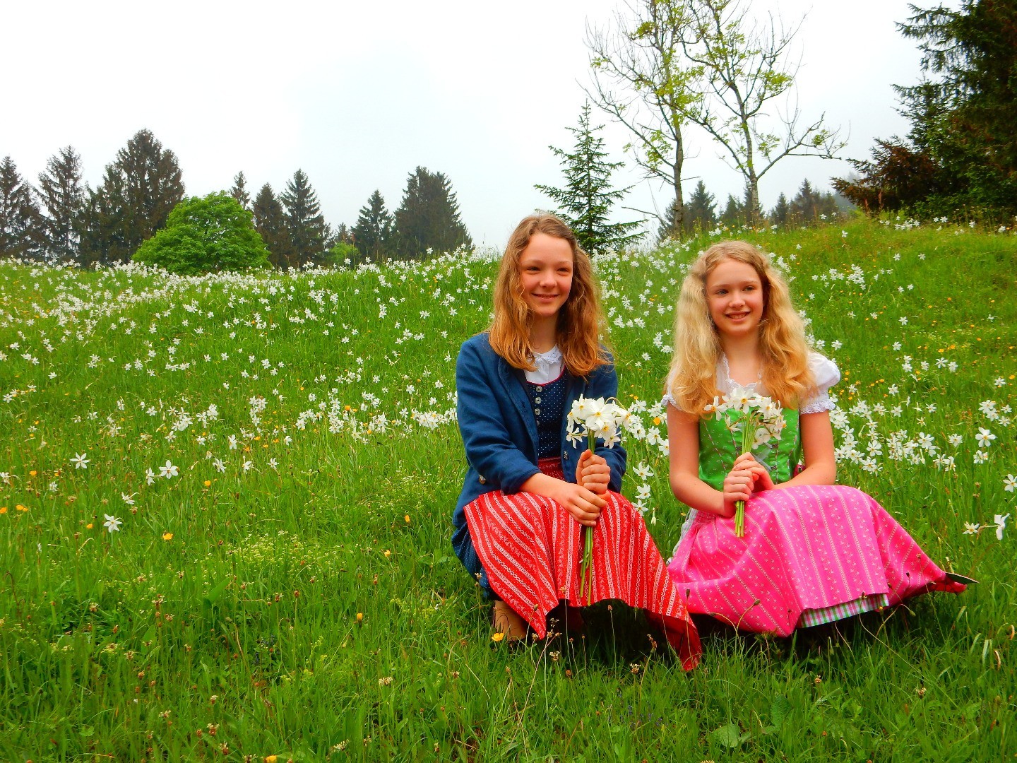 Narzissenblüte