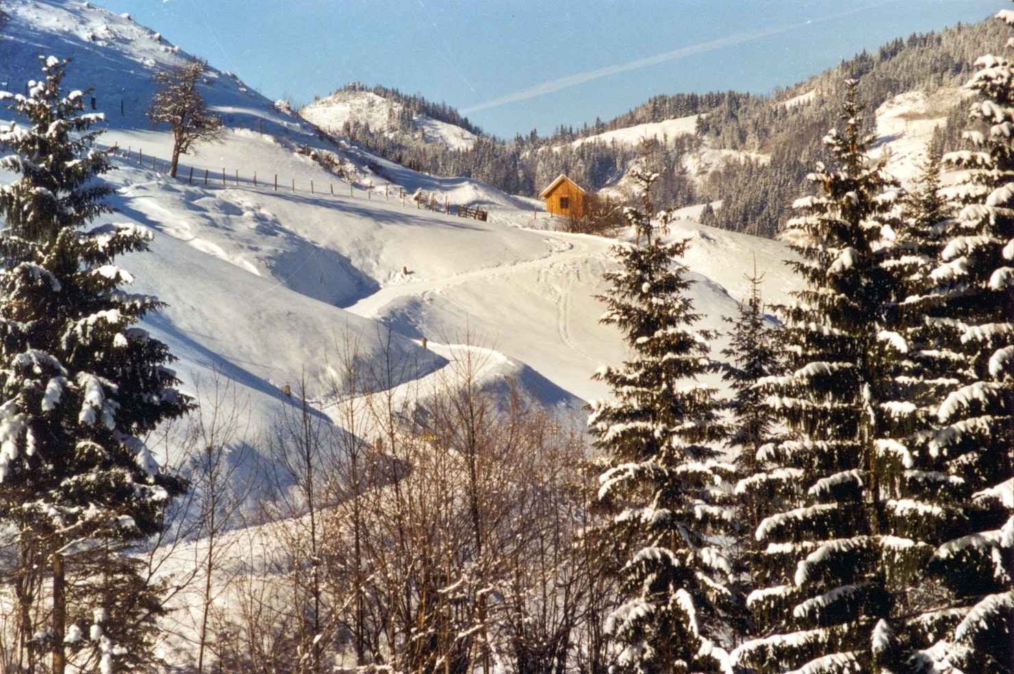 Rodelbahn-Neu 09.01