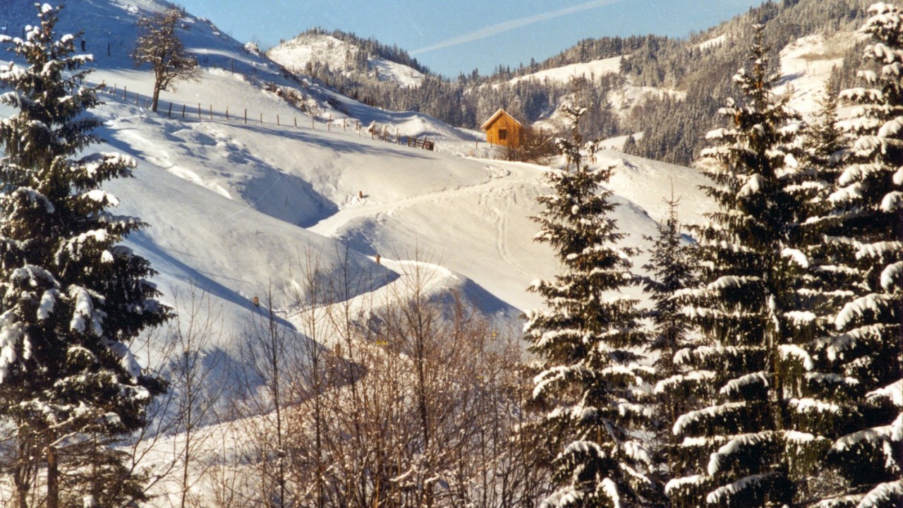 Rodelbahn-Neu 09.01.jpg