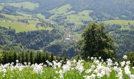 Über die Gemeinde