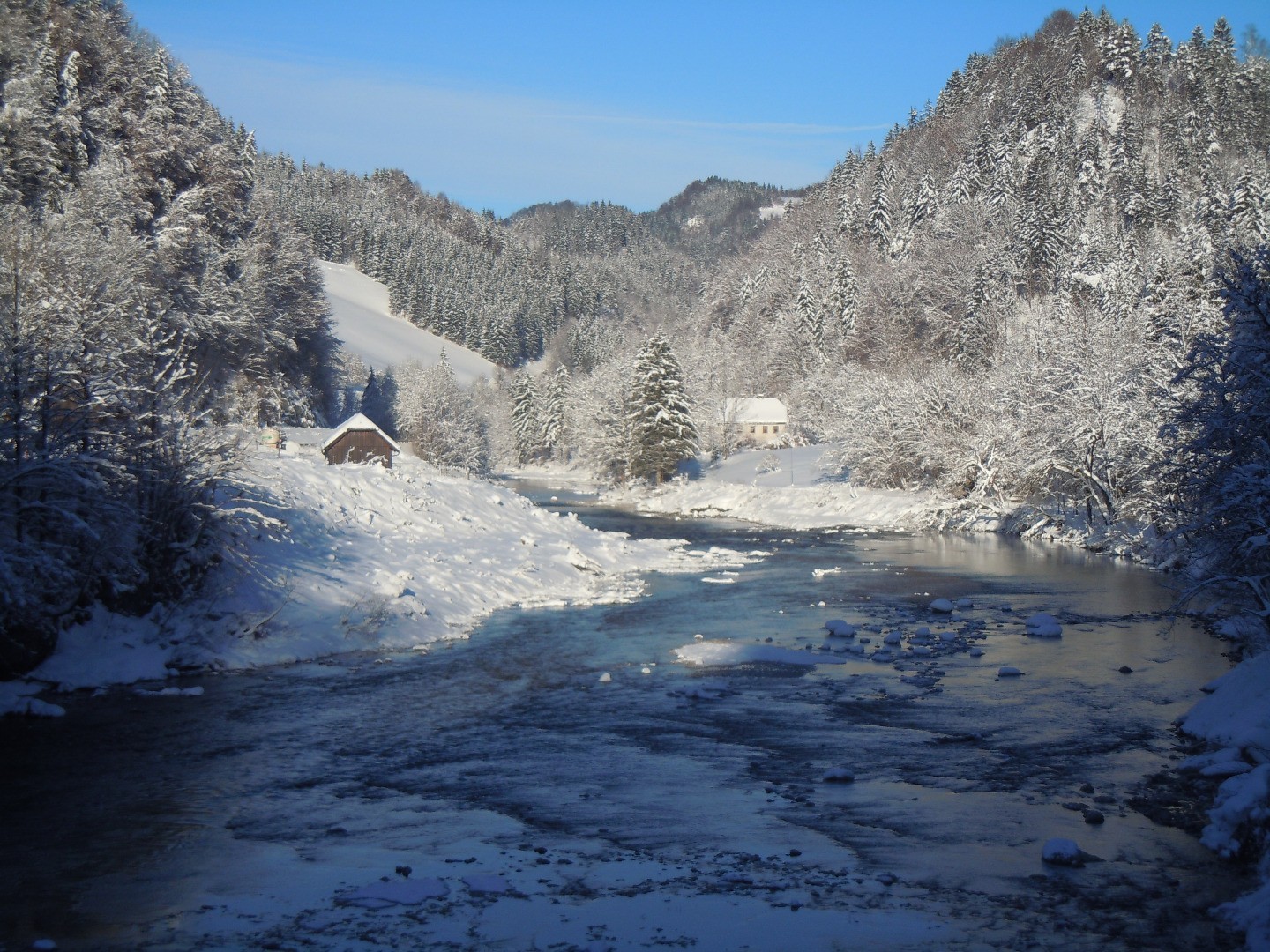 DSCN0782