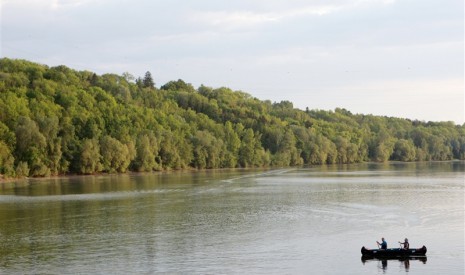 Die Donau in unserem Bezirk