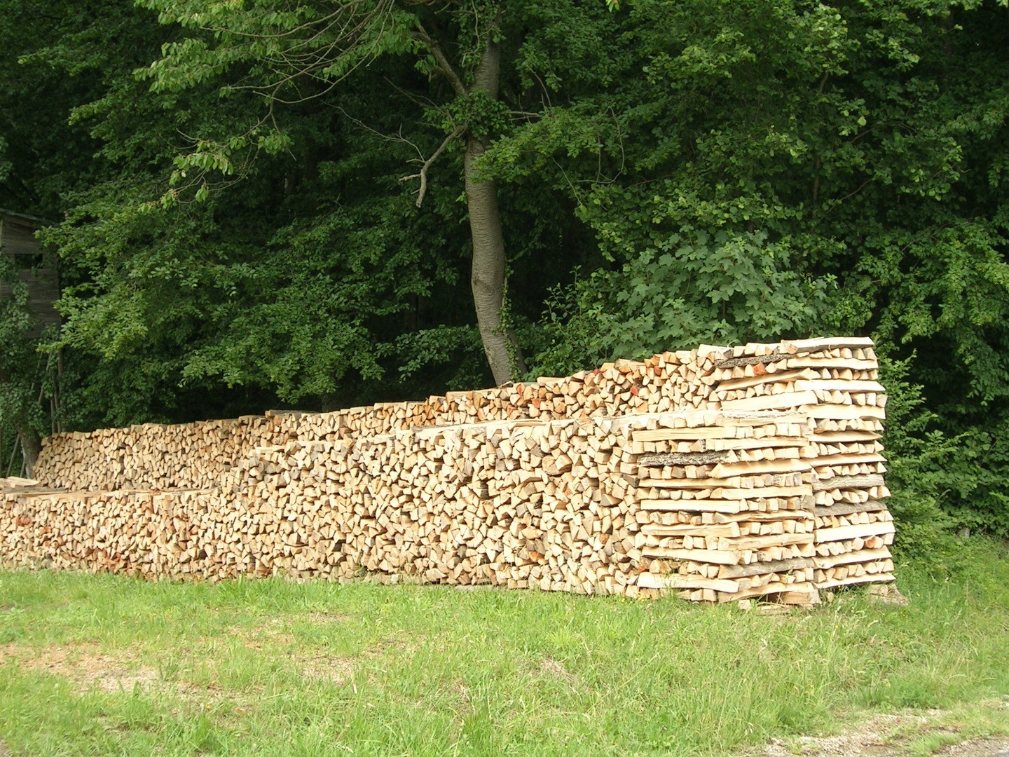 Holzstapel.JPG