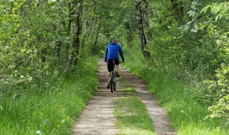 Radfahren/Mountainbiken