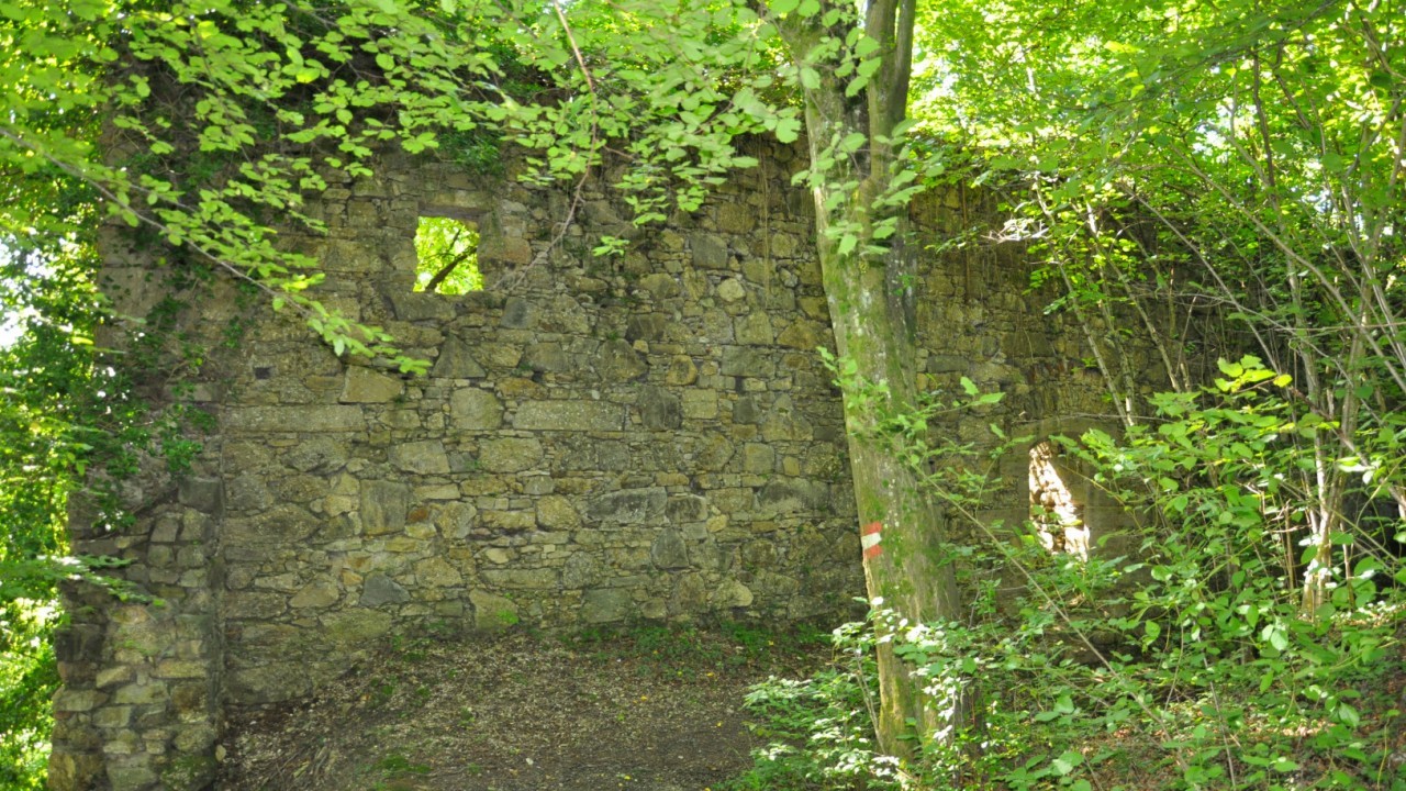 Ruine_0027.JPG