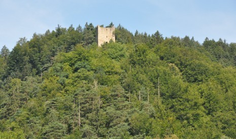 Ruine Freyenstein