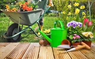 gepflegter-garten1.jpg