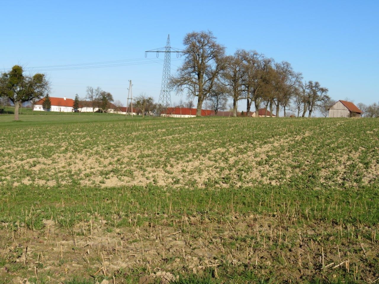 8 Wandern im Grünen und doch Nähe Ortszentrum