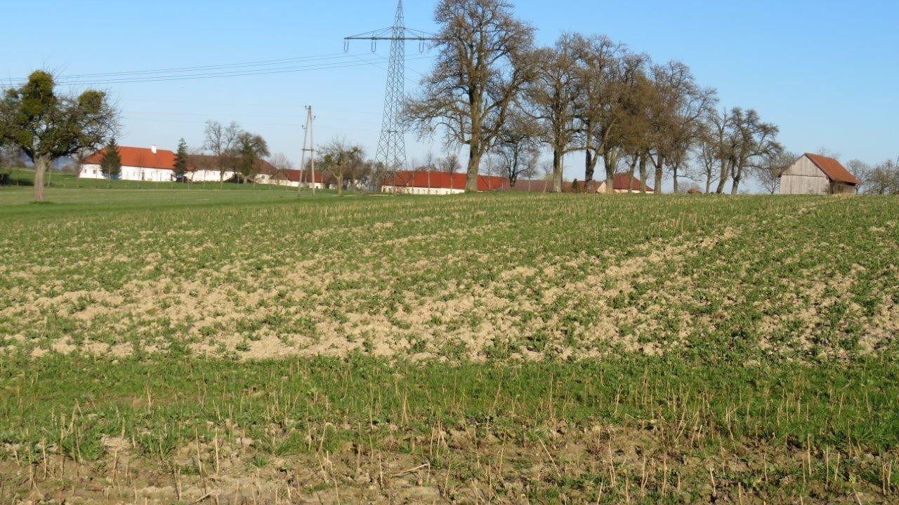 8 Wandern im Grünen und doch Nähe Ortszentrum.jpg