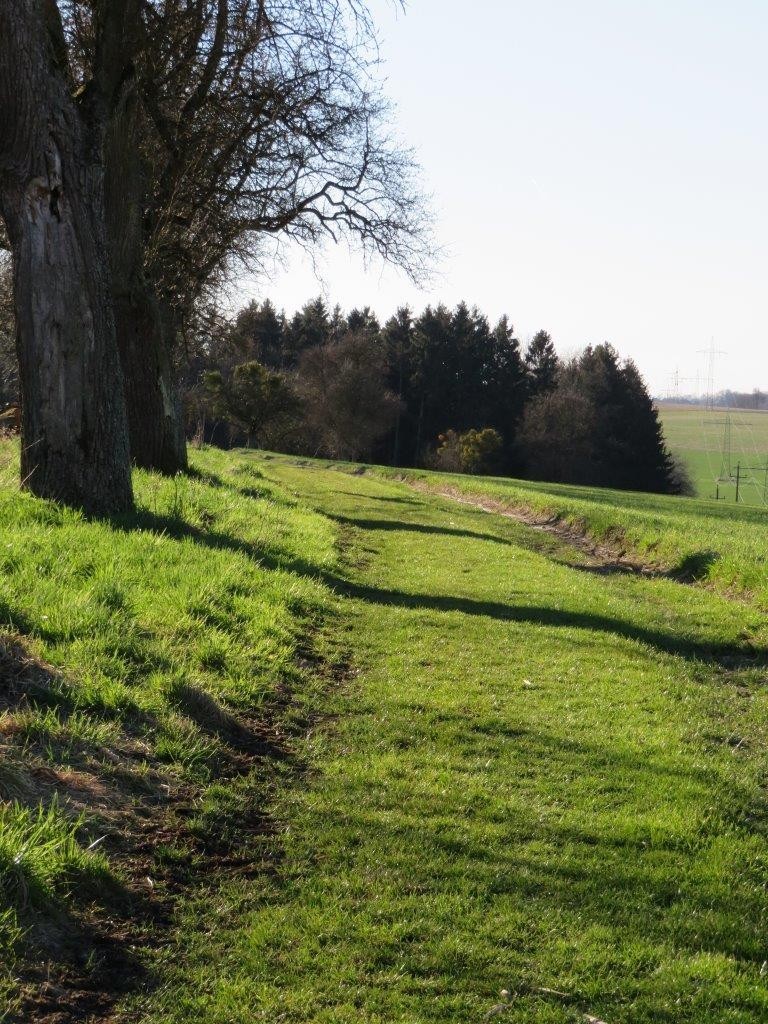 12 Grüne Wege - zum Fahren, Gehen und für Kinderwagen