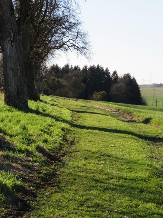 12 Grüne Wege - zum Fahren, Gehen und für Kinderwagen.jpg