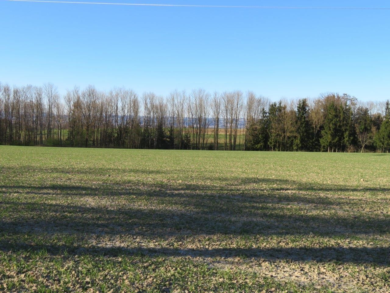 10 Blick vom Wanderweg Ri.Norden OÖ