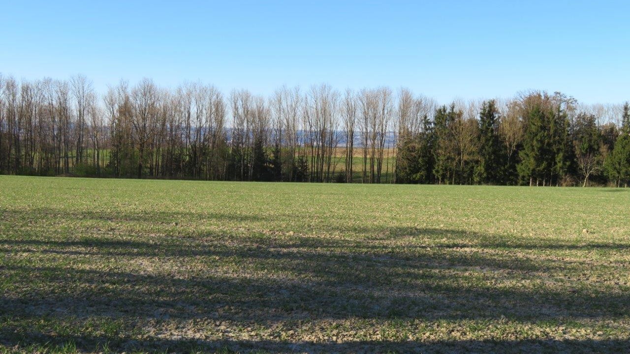 10 Blick vom Wanderweg Ri.Norden OÖ.jpg