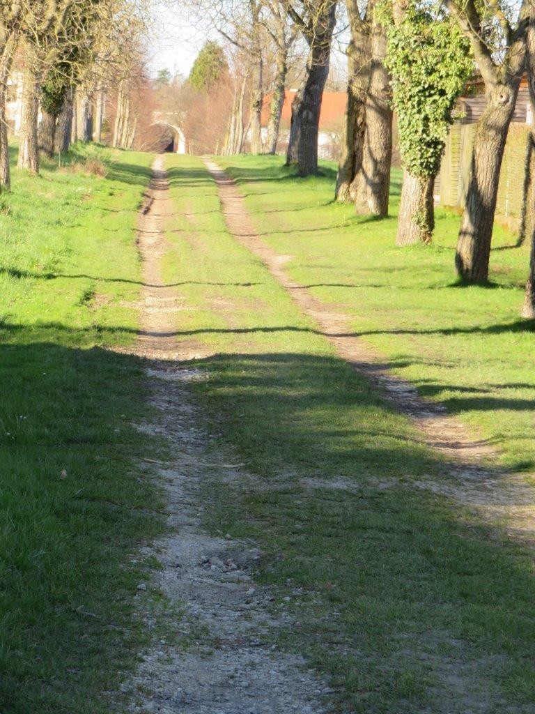 13 Allee - Ruhe pur in Zentrumsnähe
