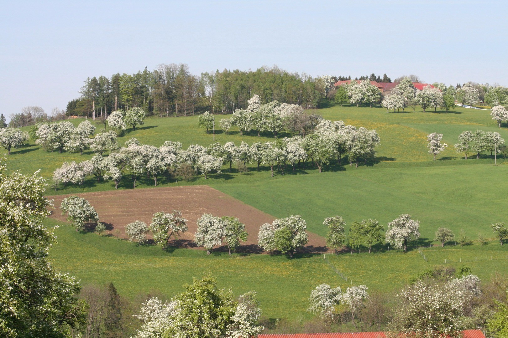 18landschaft.jpg