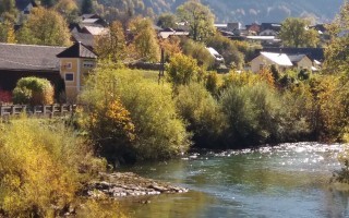 20171015_110620.jpg
