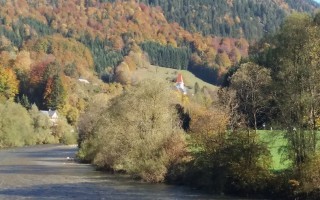 20171015_104735.jpg