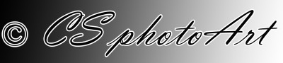 signature1