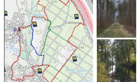 Schneeglöckerlwälder