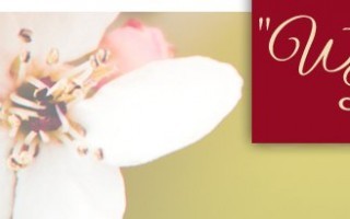 banner_4.jpg