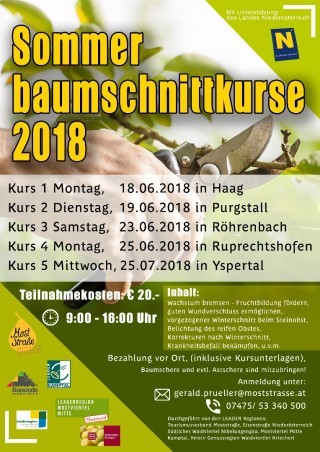 Plakat Sommerschnittkurse.jpg