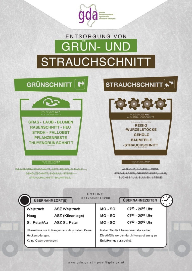 weistrachstrauchschnitt.jpg