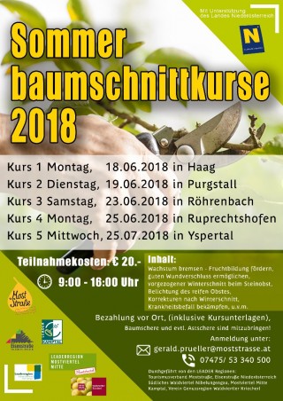 Plakat Sommerschnittkurse.jpg