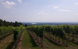 20180616_111203.jpg
