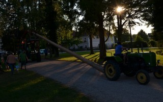 06_15_maibaum_zurückbringen (18).JPG