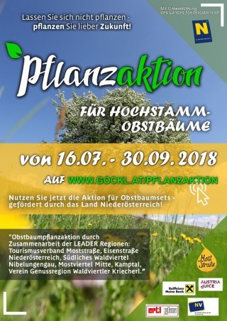 Plakat Baumpflanzaktion_Baum.jpg