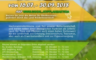Baumpflanzaktion_Info.jpg
