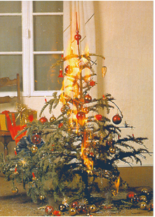 Pressefoto Christbaumbrand.png