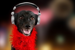 Pressefoto Feuerwerk.jpg