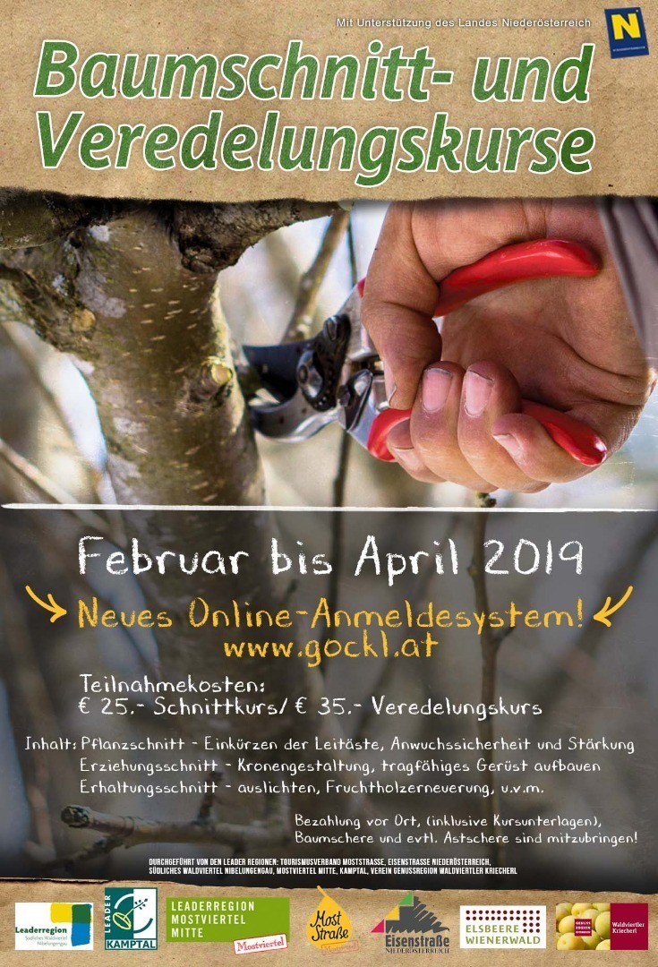 Plakat Schnittkurse_Gemeinden.jpg