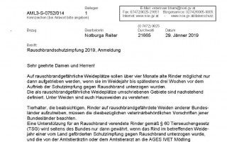 Anschreiben 2019_Seite_1.jpg