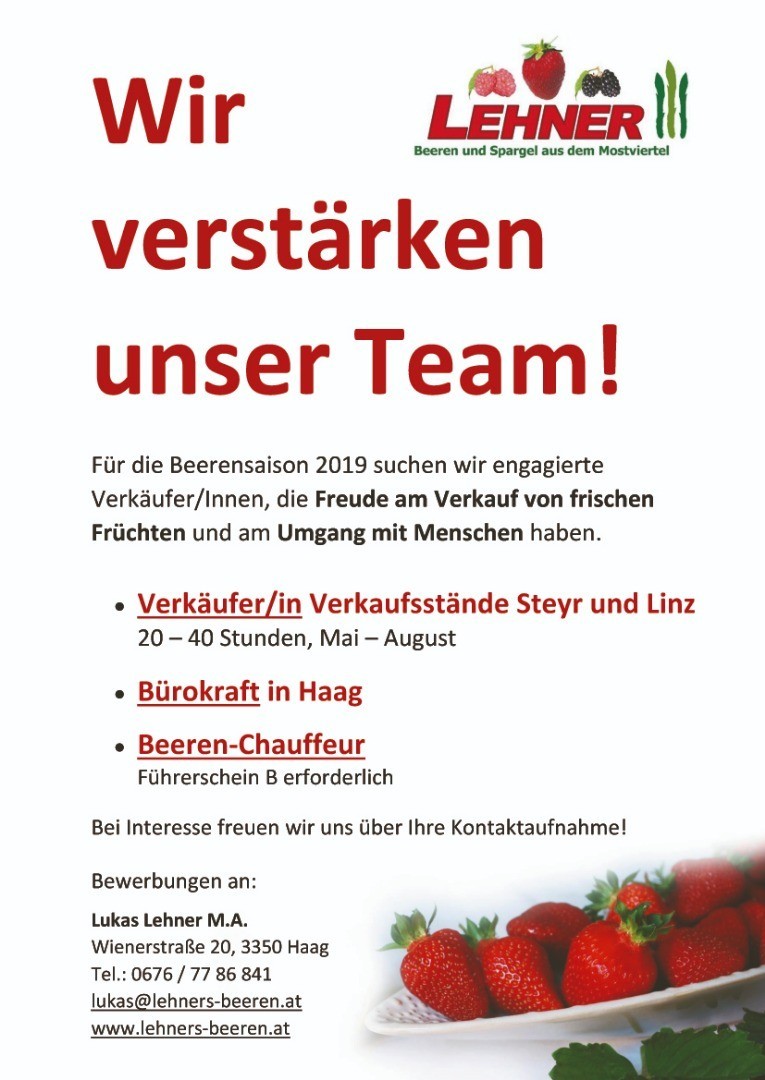 Ausschreibung2019Lehner.jpg