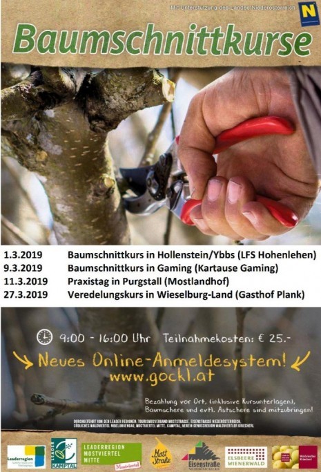 Plakatvorlage_Schnittkurse_alle