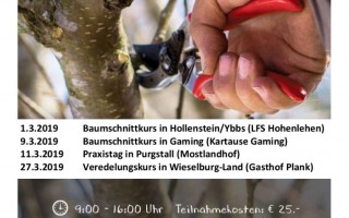 Baumschnittkurse.jpg