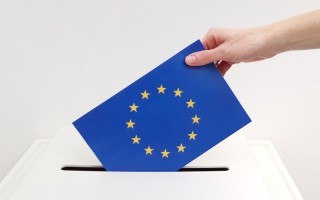 Europawahl 2019 hp.jpeg