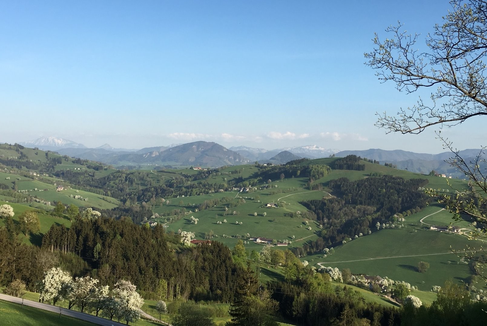 Panoramahöhenweg Burgmatt Blick ins Gebirge.jpg